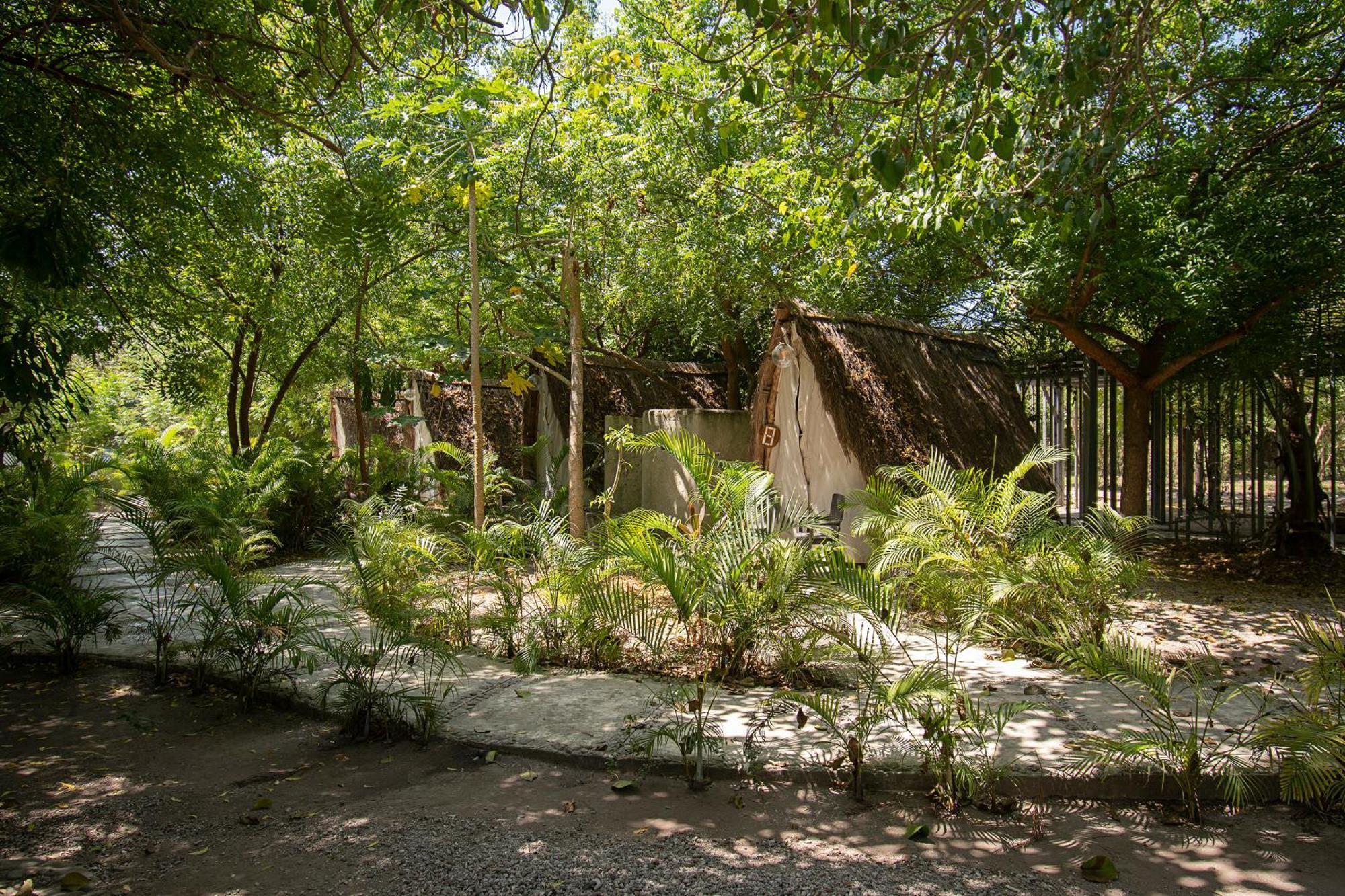 Amalife Beach Club & Hotel Tierra Bomba Exterior photo