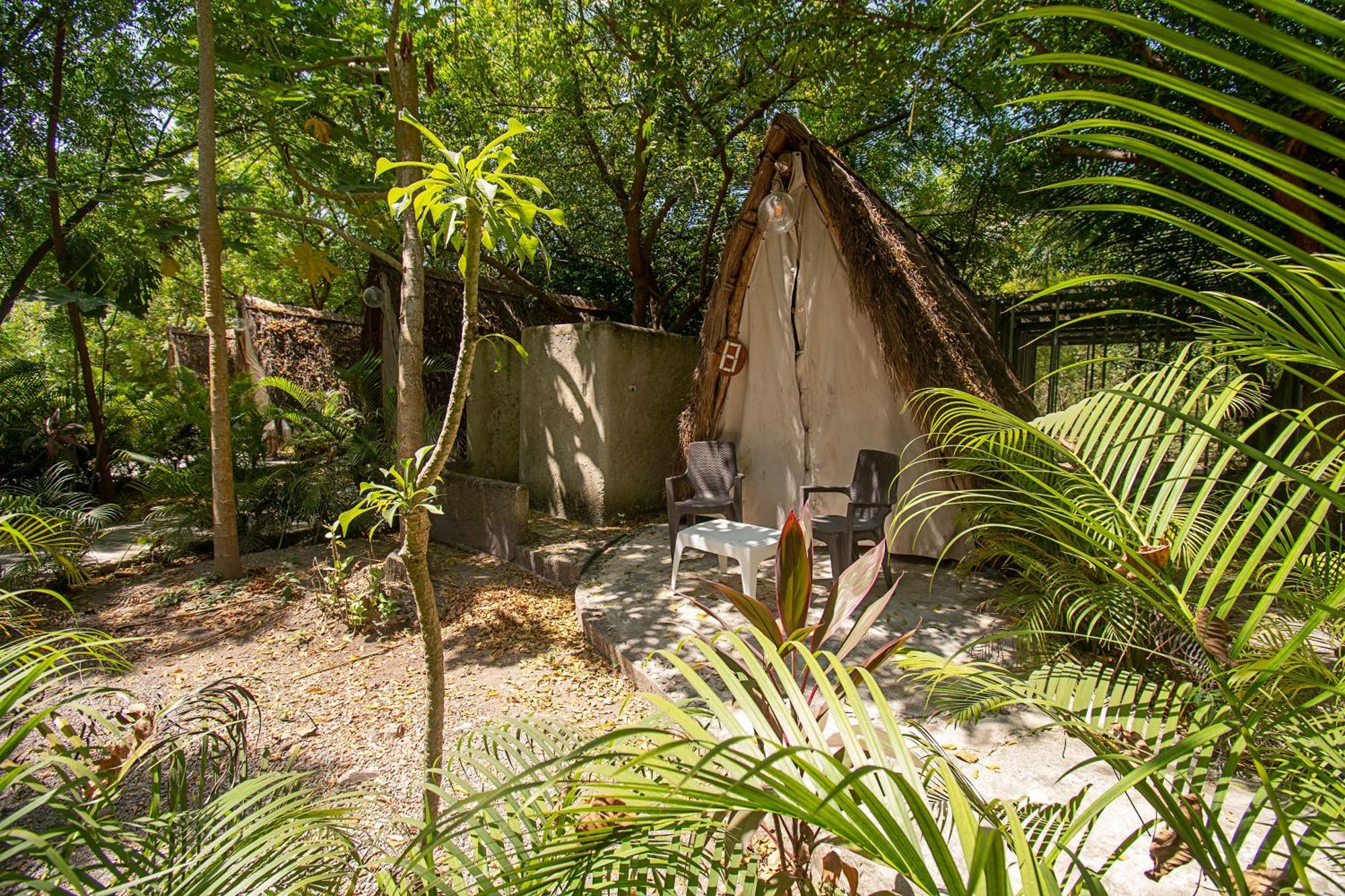 Amalife Beach Club & Hotel Tierra Bomba Exterior photo